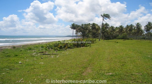 photos for LAS CANAS: LOT WITH 388 m SEAFRONT
